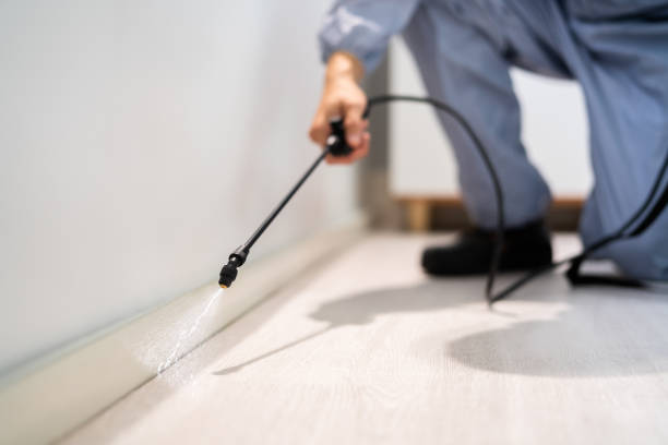 Bed Bug Pre-Treatment Preparation Assessment in Powderly