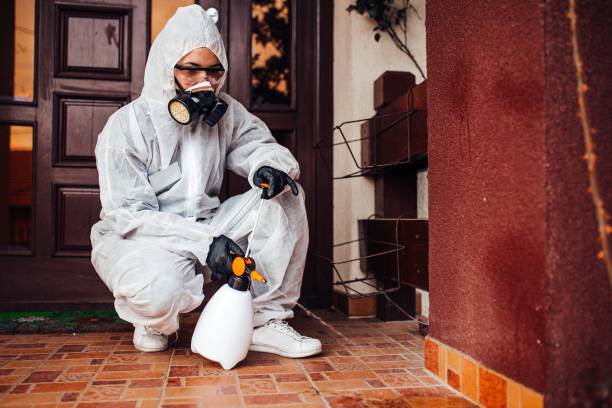 Multi-Unit and Airbnb Bed Bug Protocol in Powderly