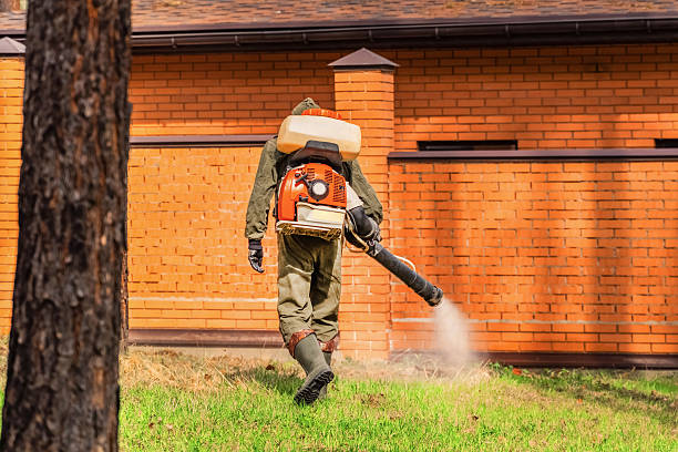 Bed Bug Clearance Verification and Documentation in Powderly